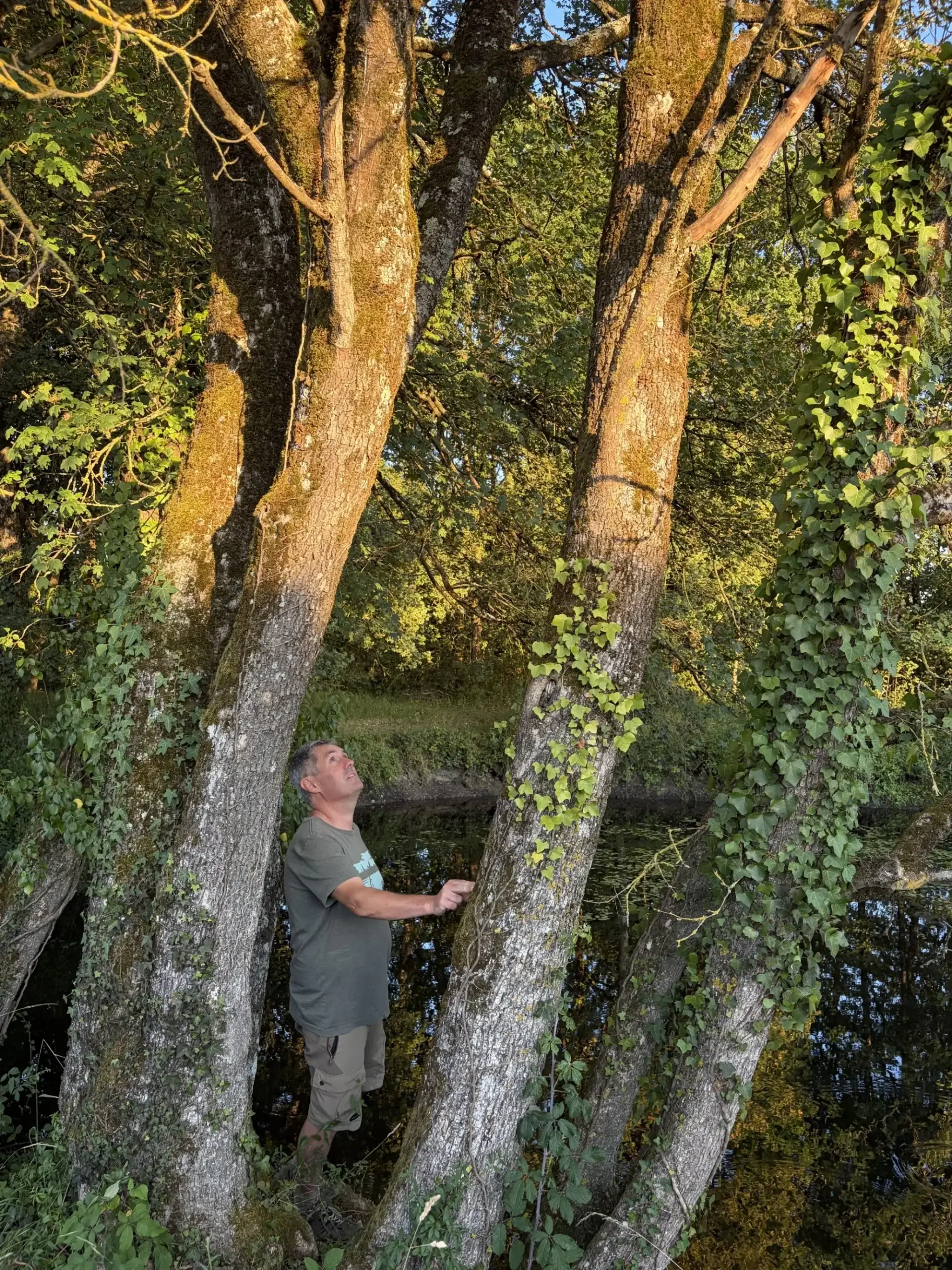 Jean-Michel Feuillet Plume de Loire Touraine