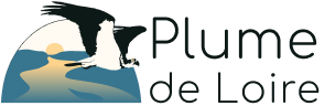 Logo Plume de Loire