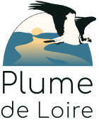 Logo badge footer Plume de Loire